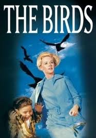 Putni / The Birds